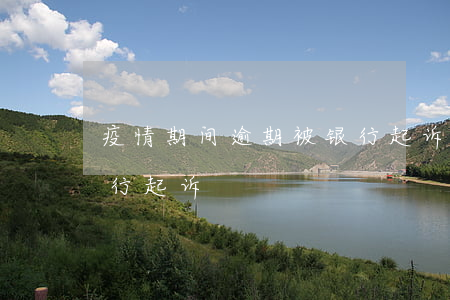疫情期间逾期被银行起诉(疫情期间逾期被银行起诉)