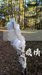 疫情期间逾期证明 疫情期间逾期证明
