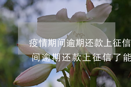 疫情期间逾期还款上征信了能撤销-疫情期间逾期还款上征信了能撤销吗