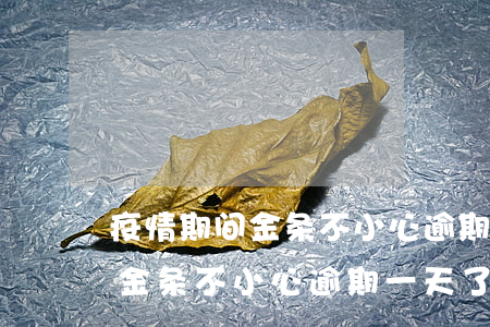 疫情期间金条不小心逾期一天了-疫情期间金条不小心逾期一天了怎么办