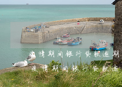 疫情期间银行贷款逾期的上征信如何消除-疫情期间银行贷款逾期会上征信吗