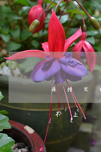 疫情欠的網(wǎng)貸怎么處理(疫情還不上網(wǎng)貸)
