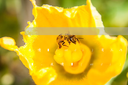 疫情沒(méi)有工作還不上信用卡怎么辦-疫情沒(méi)有工作還不上信用卡怎么辦呢