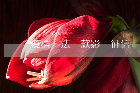 疫情無法還款影響征信