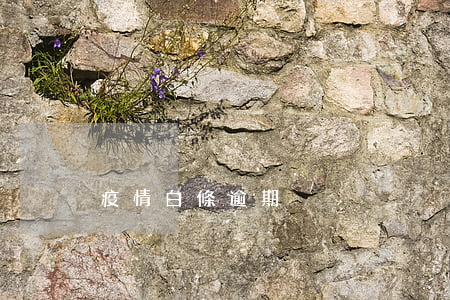 疫情白條逾期