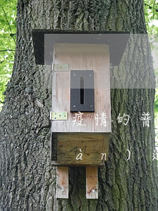 疫情的普通人貸款逾期(疫情期間出現(xiàn)逾期可以貸款嗎)