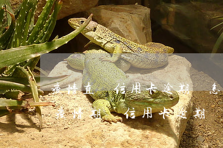 疫情直間信用卡逾期會怎么樣-中國銀行在疫情期間信用卡逾期會怎么樣