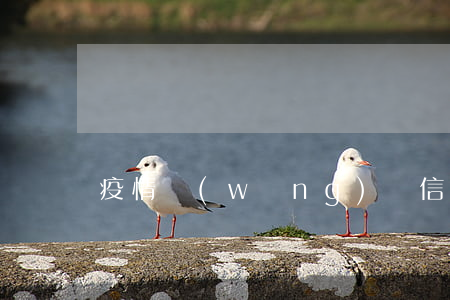 疫情網(wǎng)貸信用卡逾期怎么辦