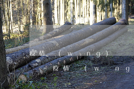 疫情網(wǎng)貸還不上怎么辦 怎么解決-疫情網(wǎng)貸還不上怎么辦 怎么解決呢
