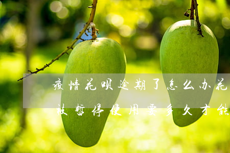 疫情花呗逾期了怎么办(花呗因为疫情逾期了被暂停使用要多久才能恢复)