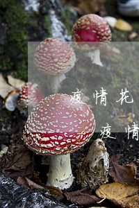 疫情花唄逾期了被暫停使用要多久才能恢復-疫情花唄逾期了被暫停使用要多久才能恢復正常