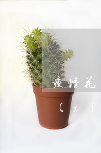 疫情花唄還款可以逾期嗎(花唄逾期了幾天,現(xiàn)在還了,會影響征信)