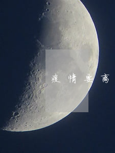 疫情要离婚怎么办