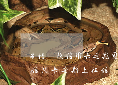疫情貸款信用卡逾期(因疫情導(dǎo)致信用卡逾期上征信)