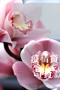 疫情貸款公司還不起 疫情導(dǎo)致公司貸款還不上
