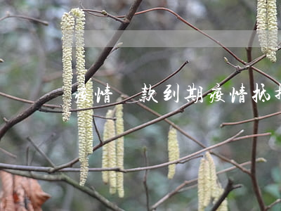 疫情貸款到期（疫情抵押貸款逾期）