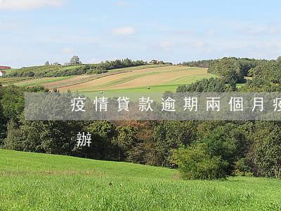 疫情貸款逾期兩個月(疫情影響貸款逾期怎么辦)