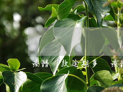 疫情貸款逾期多嗎(疫情貸款逾期國家怎么說)