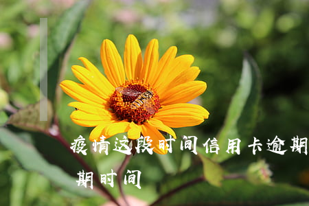 疫情这段时间信用卡逾期了怎么办 信用卡逾期时间