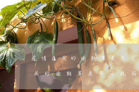 疫情造成的逾期算是不可抗因素嗎-疫情造成的逾期算是不可抗因素嗎為什么