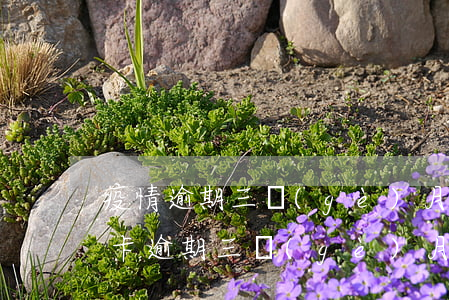 疫情逾期三個(gè)月還款(疫情期間信用卡逾期三個(gè)月)