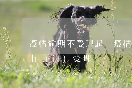 疫情逾期不受理起訴(疫情期間逾期法院會(huì)受理嗎)