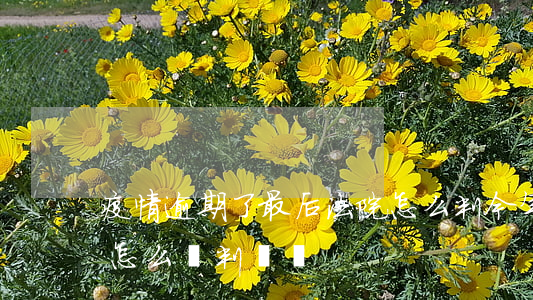 疫情逾期了最后法院怎么判 今年疫情法院會怎么給判決書
