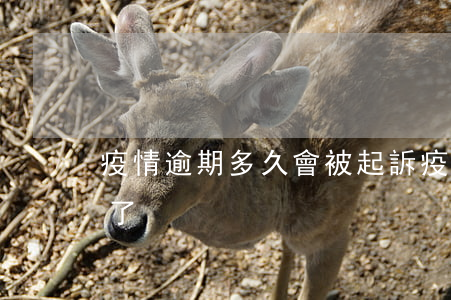 疫情逾期多久會被起訴(疫情期間訴訟期超期了)