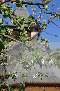 疫情逾期征信怎么解除（疫情期間怎么解除逾期）