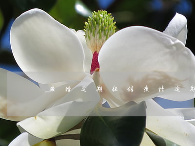 疫情逾期征信 疫情逾期征信修復(fù)