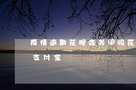 疫情逾期花呗会关闭吗(花呗逾期多久被关停支付宝)