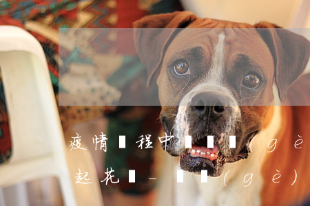 疫情過程中這幾個(gè)月有多少人還不起花唄-這個(gè)月疫情花唄不還有什么后果