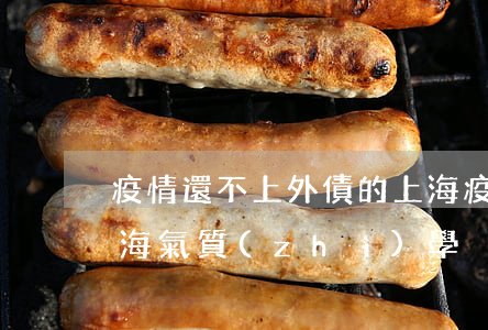 疫情還不上外債的上海(疫情還不上外債的上海氣質(zhì)學)