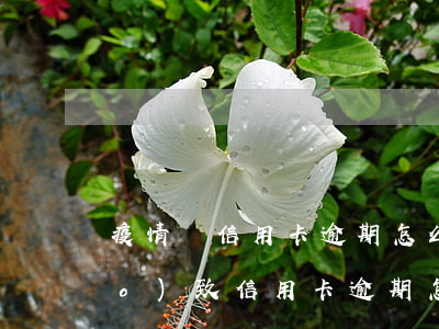 疫情間信用卡逾期怎么辦(疫情期間導(dǎo)致信用卡逾期怎么辦)