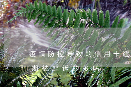 疫情防控导致的信用卡逾期(疫情后信用卡逾期被起诉的多吗)