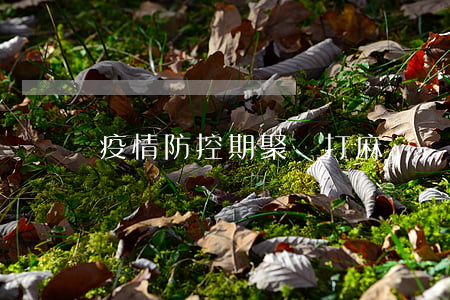 疫情防控期聚眾打麻將違法嗎