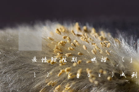 疫情防控期間哄抬價(jià)格會(huì)構(gòu)成刑事犯罪嗎