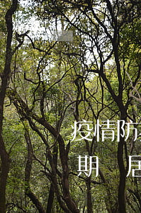 疫情防控期間居住證逾期怎么辦-疫情防控期間居住證逾期怎么辦理