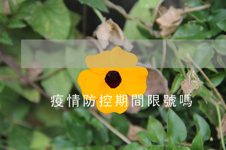 疫情防控期間限號嗎