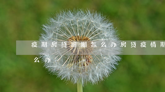 疫期房贷逾期怎么办(房贷疫情期间逾期了怎么办)