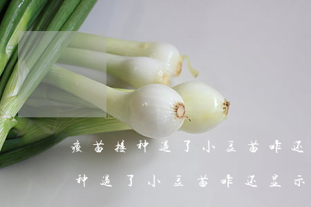 疫苗接种过了小豆苗咋还显示逾期-疫苗接种过了小豆苗咋还显示逾期呢