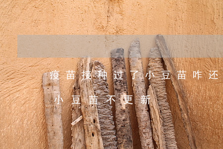 疫苗接种过了小豆苗咋还显示逾期(接种疫苗小豆苗不更新)