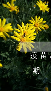 疫苗期间信用卡逾期-疫情期间的信用卡逾期