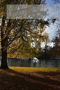 疫苗本丢了怎么补办(上海疫苗本丢了怎么补办)