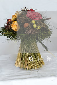 疫苗第二針逾期半年(疫苗第二針逾期半年)
