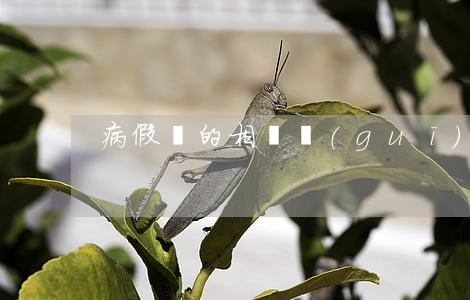 病假單的相關規(guī)定（病假條范文）