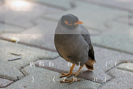 病假有沒有工資（發(fā)放標(biāo)準(zhǔn)）