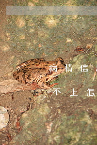 病情信用卡逾期怎么辦(生病了信用卡逾期還不上怎么辦)