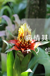 病情其間信用卡逾期三個月了(三年內(nèi)信用卡逾期3次)