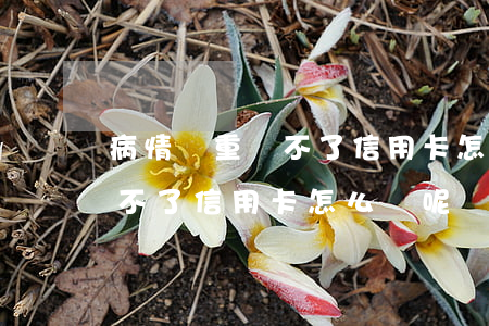 病情嚴重還不了信用卡怎么辦-病情嚴重還不了信用卡怎么辦呢
